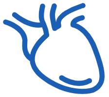 Riesgo cardiovascular