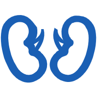 Función renal